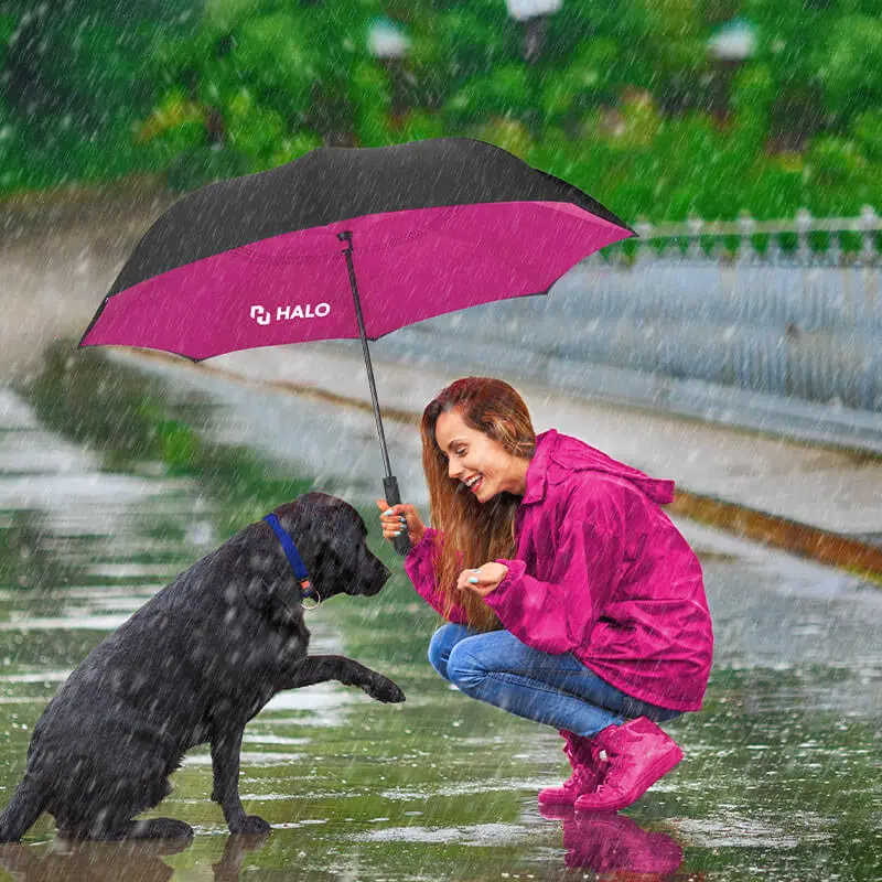 two-tone-umbrella